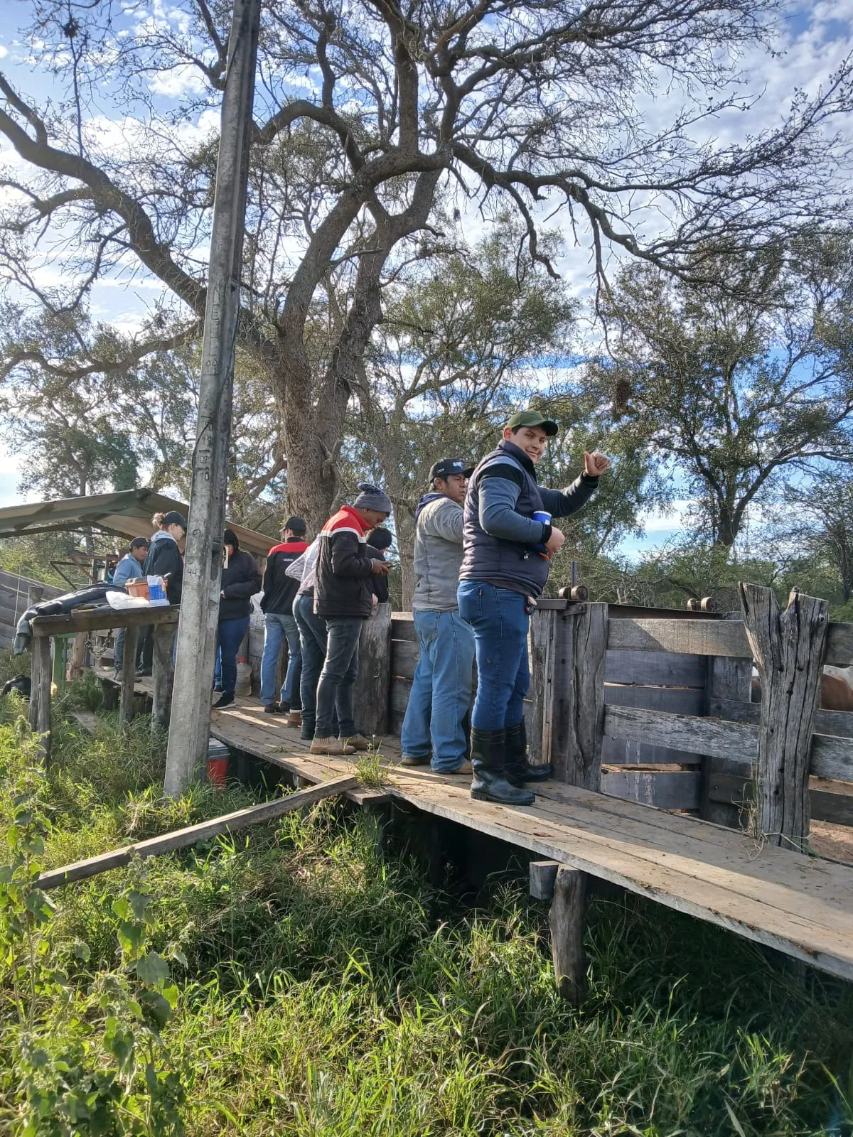 Práctica de sanidad animal en corral